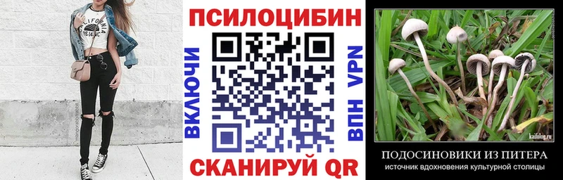 Галлюциногенные грибы Cubensis  Купить  Астрахань 